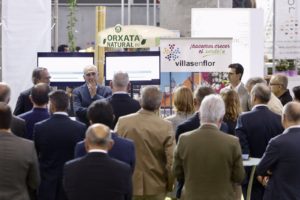 Presentación-VillasenFlor